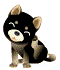 b_shibas.gif